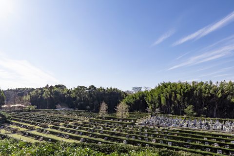 令和4年度の松戸市営白井聖地公園の墓地使用者公募が始まりました